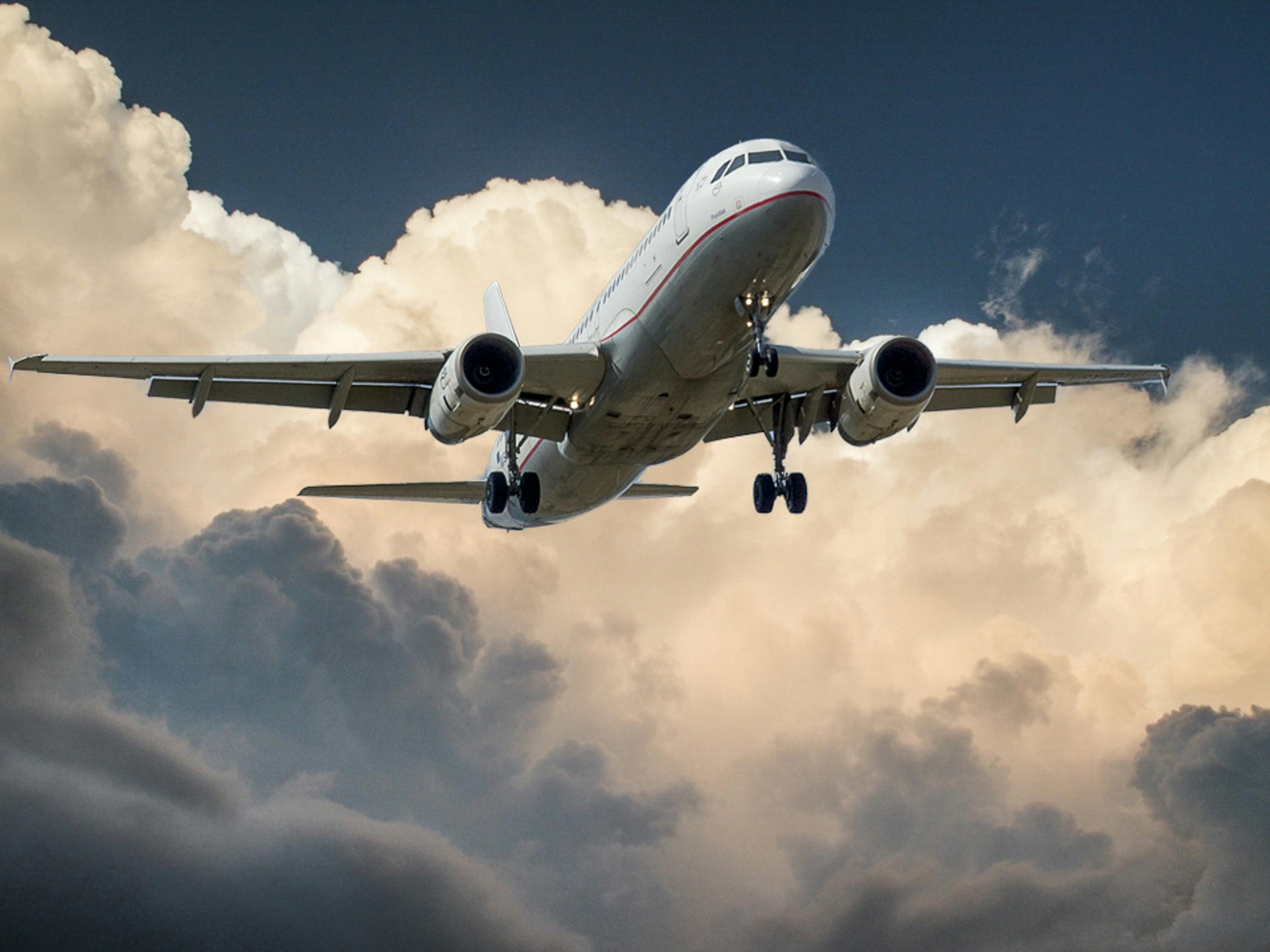Distribution and transport logistics